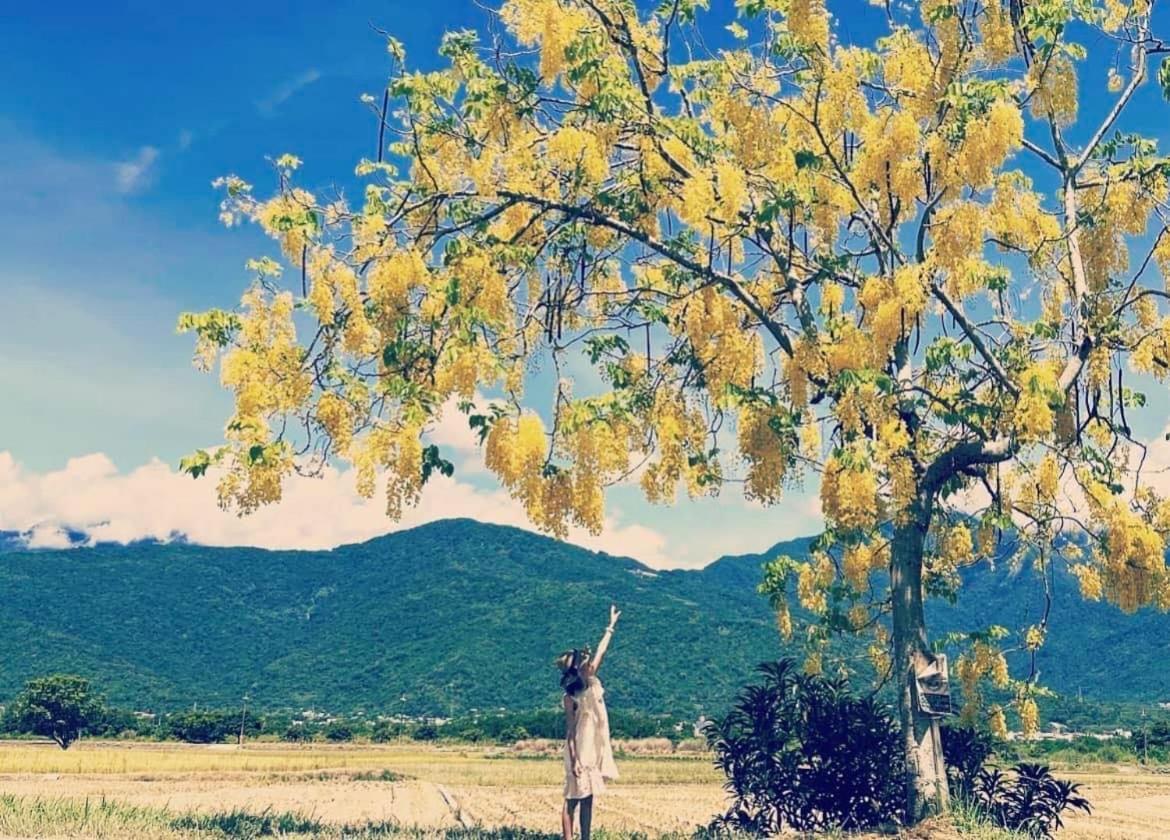 Pu Shi Homestay ยู่หลี่ ภายนอก รูปภาพ