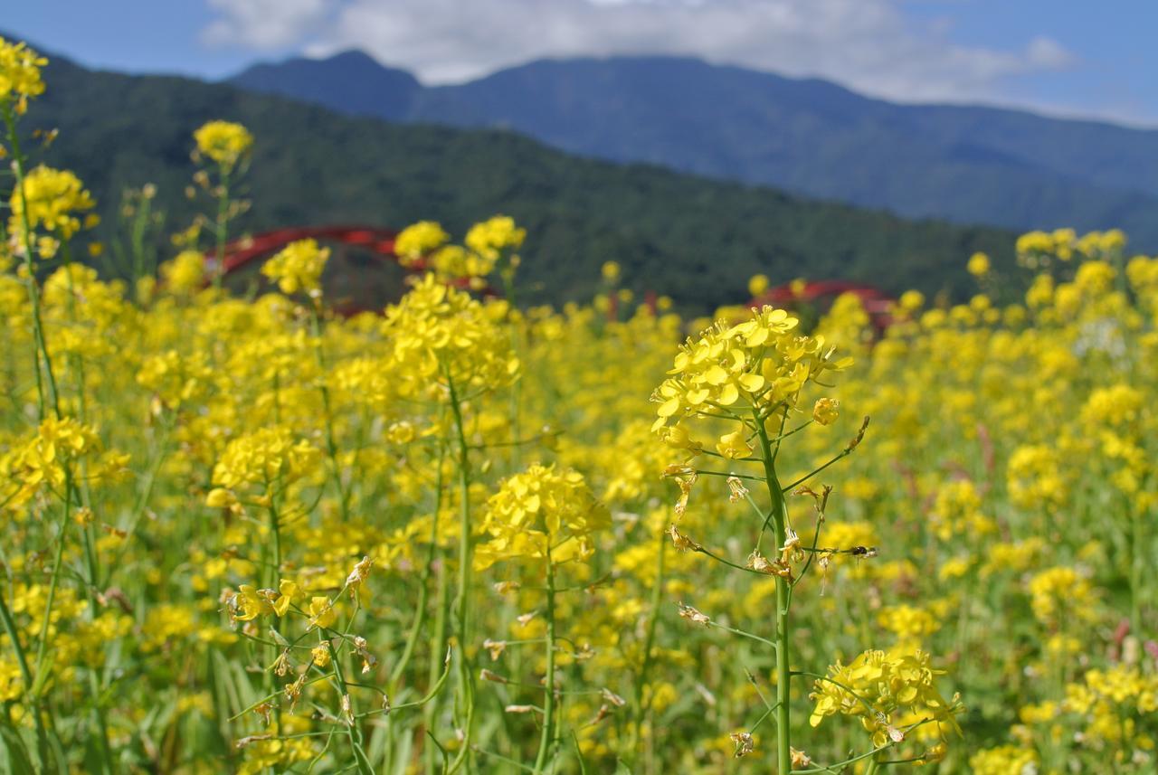 Pu Shi Homestay ยู่หลี่ ภายนอก รูปภาพ